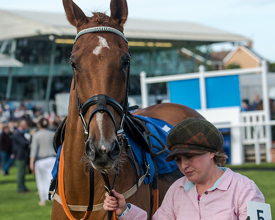 Race 3 - pointtopoint.co.uk champion novices (9 of 192)