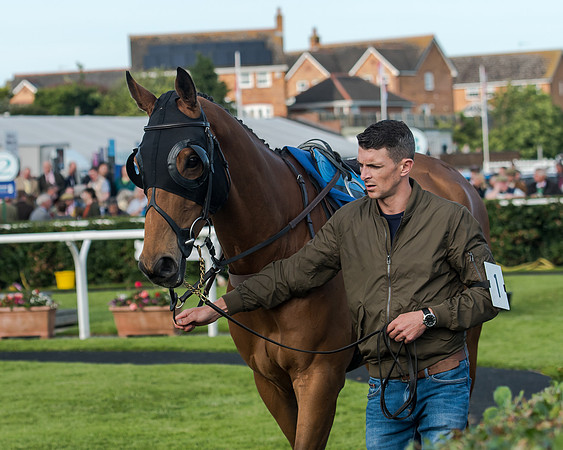 Race 3 - pointtopoint.co.uk champion novices (10 of 192)