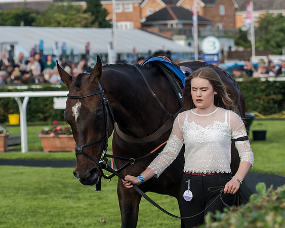 Race 3 - pointtopoint.co.uk champion novices (12 of 192)