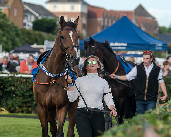 Race 3 - pointtopoint.co.uk champion novices (15 of 192)