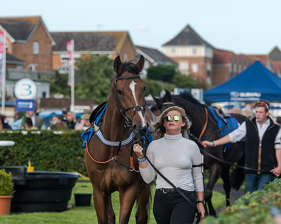 Race 3 - pointtopoint.co.uk champion novices (16 of 192)
