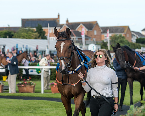 Race 3 - pointtopoint.co.uk champion novices (17 of 192)