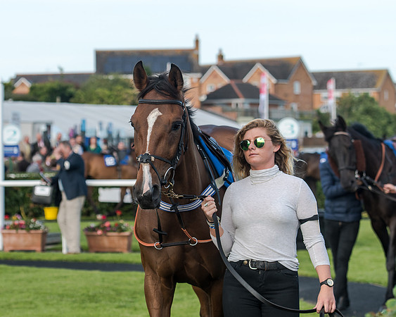 Race 3 - pointtopoint.co.uk champion novices (18 of 192)