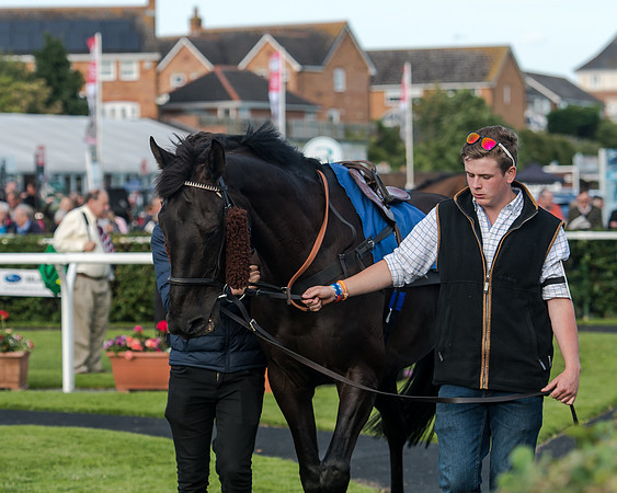 Race 3 - pointtopoint.co.uk champion novices (19 of 192)