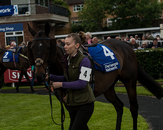 Race 5 - Pretemps Stratford Foxhunters (1 of 220)
