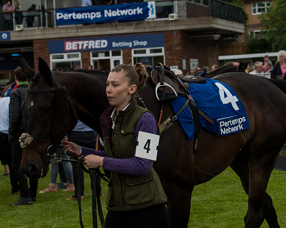 Race 5 - Pretemps Stratford Foxhunters (2 of 220)