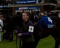 Race 5 - Pretemps Stratford Foxhunters (3 of 220)