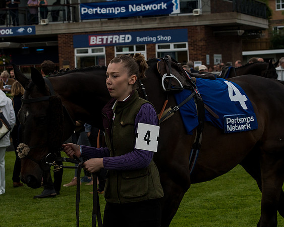 Race 5 - Pretemps Stratford Foxhunters (3 of 220)