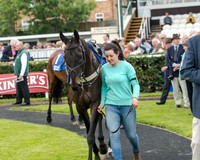 Race 5 - Pretemps Stratford Foxhunters (4 of 220)