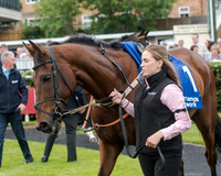 Race 5 - Pretemps Stratford Foxhunters (7 of 220)