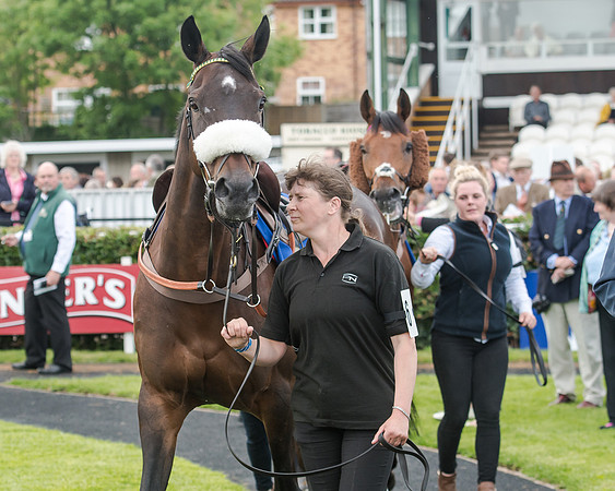Race 5 - Pretemps Stratford Foxhunters (8 of 220)
