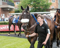 Race 5 - Pretemps Stratford Foxhunters (9 of 220)