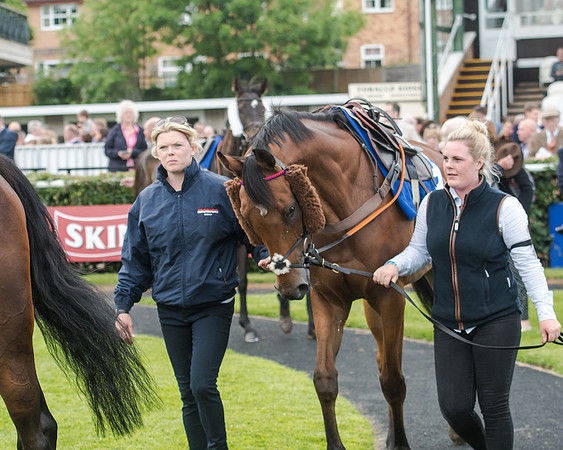 Race 5 - Pretemps Stratford Foxhunters (10 of 220)