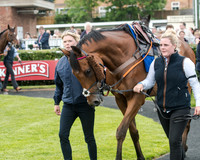 Race 5 - Pretemps Stratford Foxhunters (11 of 220)