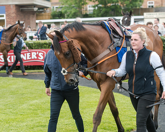 Race 5 - Pretemps Stratford Foxhunters (12 of 220)