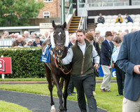 Race 5 - Pretemps Stratford Foxhunters (13 of 220)
