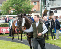 Race 5 - Pretemps Stratford Foxhunters (15 of 220)