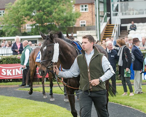 Race 5 - Pretemps Stratford Foxhunters (15 of 220)