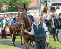 Race 5 - Pretemps Stratford Foxhunters (16 of 220)