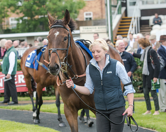 Race 5 - Pretemps Stratford Foxhunters (16 of 220)