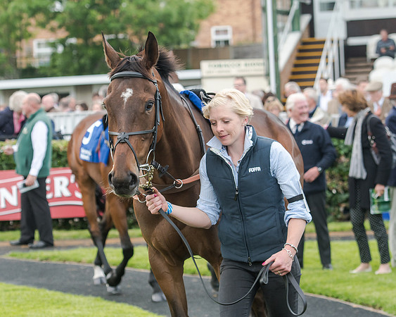 Race 5 - Pretemps Stratford Foxhunters (17 of 220)