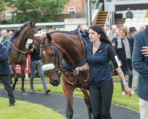 Race 5 - Pretemps Stratford Foxhunters (19 of 220)
