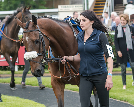 Race 5 - Pretemps Stratford Foxhunters (20 of 220)
