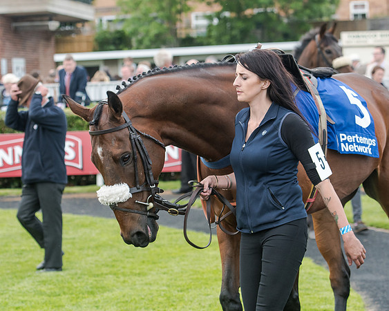 Race 5 - Pretemps Stratford Foxhunters (21 of 220)
