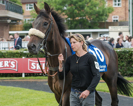 Young Hurricane - John Dawson
