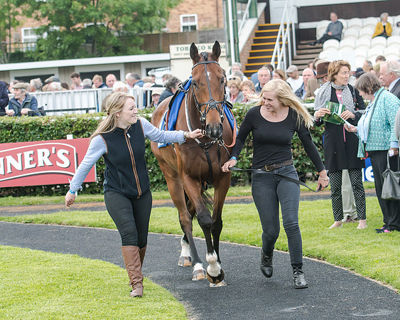 Race 5 - Pretemps Stratford Foxhunters (25 of 220)