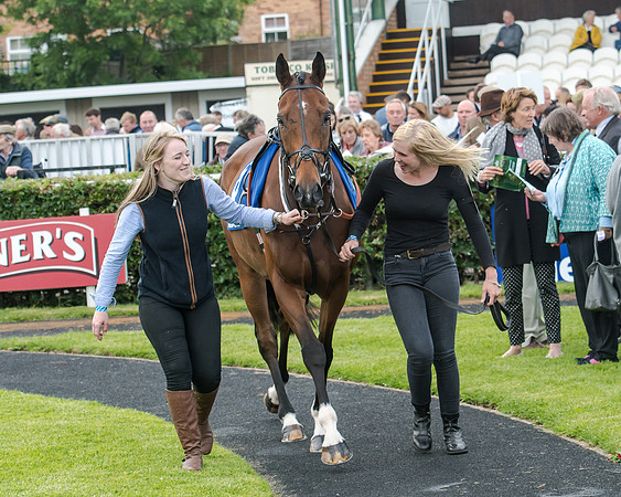 Race 5 - Pretemps Stratford Foxhunters (26 of 220)