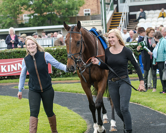 Race 5 - Pretemps Stratford Foxhunters (28 of 220)