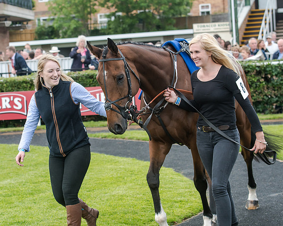 Race 5 - Pretemps Stratford Foxhunters (29 of 220)