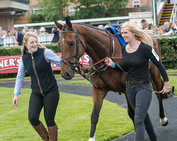 Race 5 - Pretemps Stratford Foxhunters (30 of 220)