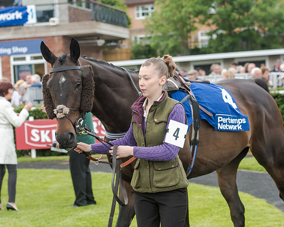 Race 5 - Pretemps Stratford Foxhunters (36 of 220)