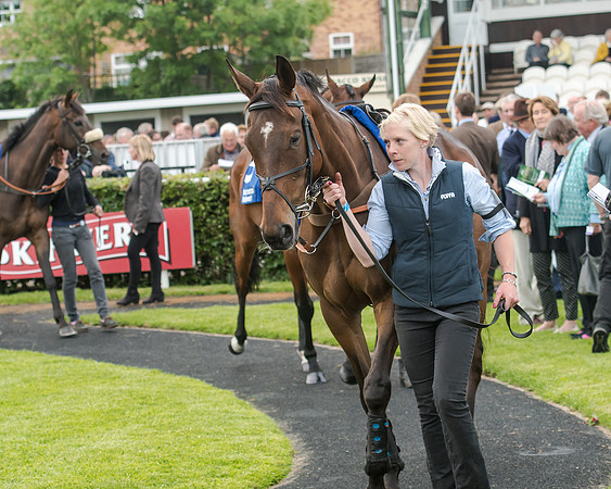 Race 5 - Pretemps Stratford Foxhunters (37 of 220)