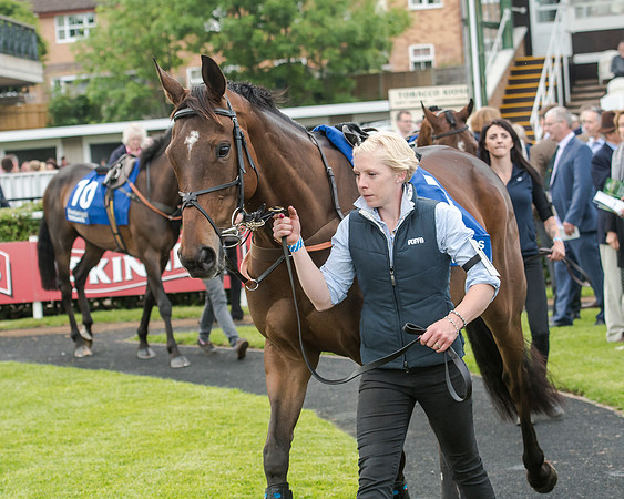Race 5 - Pretemps Stratford Foxhunters (38 of 220)