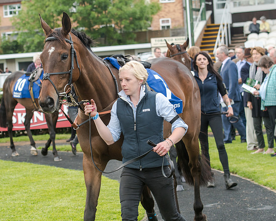 Race 5 - Pretemps Stratford Foxhunters (39 of 220)