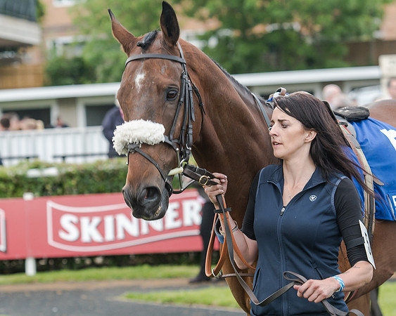 Race 5 - Pretemps Stratford Foxhunters (40 of 220)