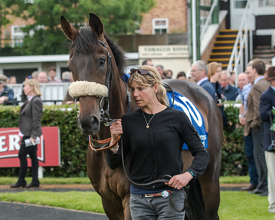 Young Hurricane - John Dawson