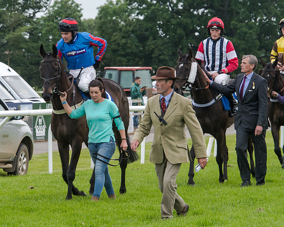 Race 5 - Pretemps Stratford Foxhunters (44 of 220)