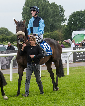 Young Hurricane - John Dawson