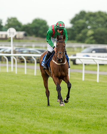 Race 5 - Pretemps Stratford Foxhunters (59 of 220)