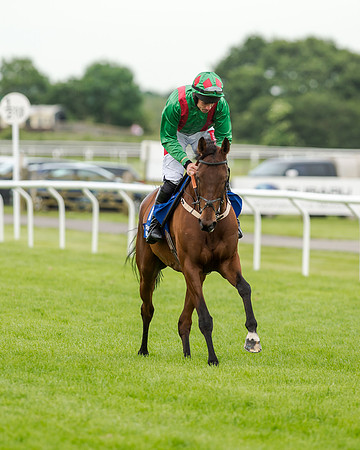 Race 5 - Pretemps Stratford Foxhunters (60 of 220)