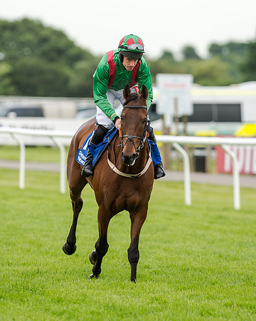 Race 5 - Pretemps Stratford Foxhunters (61 of 220)