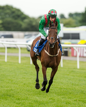 Race 5 - Pretemps Stratford Foxhunters (62 of 220)