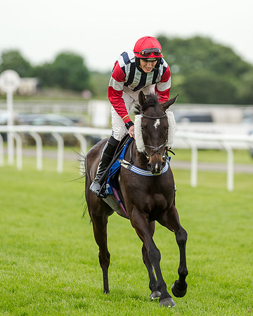 Race 5 - Pretemps Stratford Foxhunters (63 of 220)