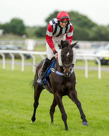 Race 5 - Pretemps Stratford Foxhunters (64 of 220)