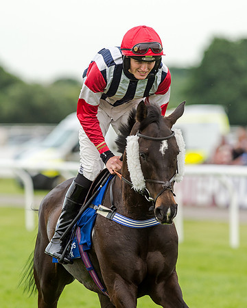 Race 5 - Pretemps Stratford Foxhunters (66 of 220)