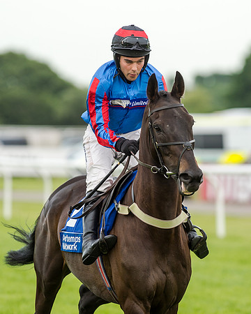 Race 5 - Pretemps Stratford Foxhunters (67 of 220)